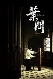 Ip Man (2008) Hindi Dubbed