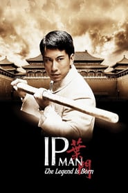 The Legend Is Born: Ip Man Hindi Dubbed (2010)